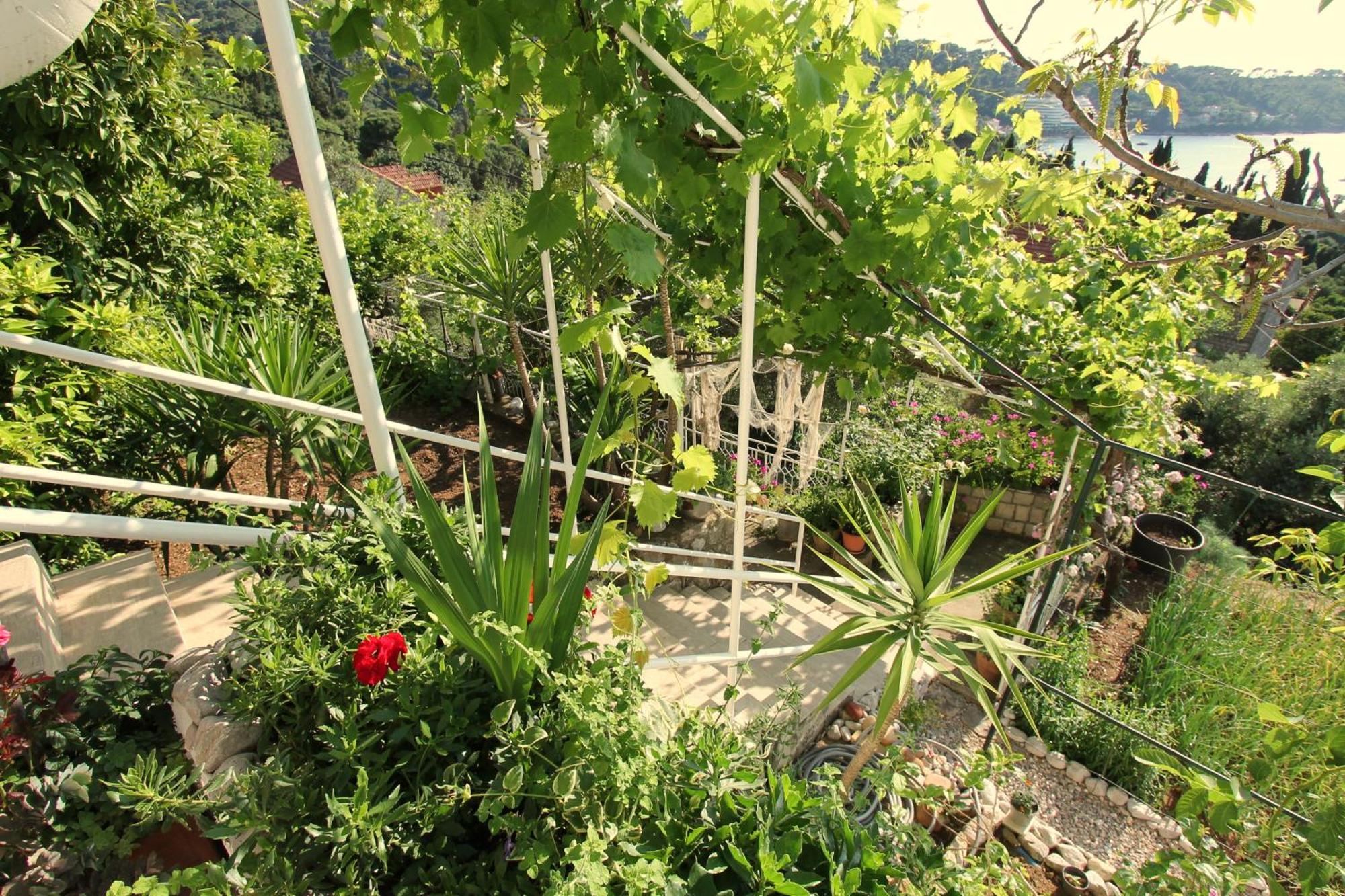 Apartments Cervelin Lopud Rom bilde